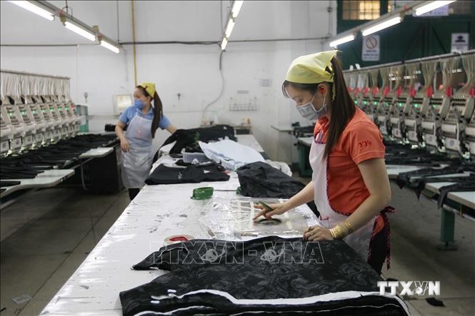 Thành phố Hồ Chí Minh: Nỗ lực tìm việc làm cho người lao động trong mùa dịch COVID-19