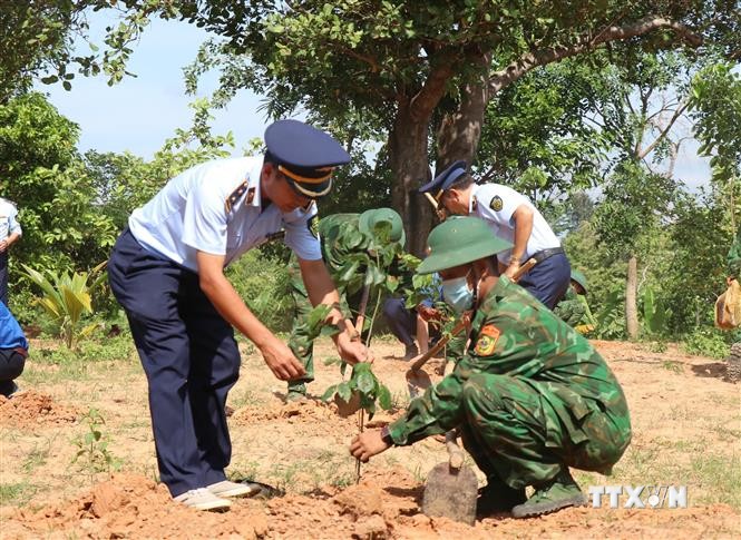 Trồng 2.000 cây xanh tại các đơn vị Bộ đội biên phòng tỉnh Đắk Lắk