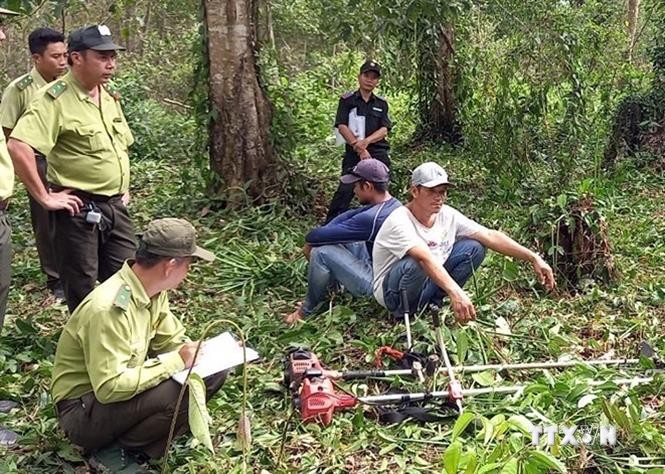 Kiên Giang ngăn chặn, xử lý hành vi xâm hại tài nguyên rừng