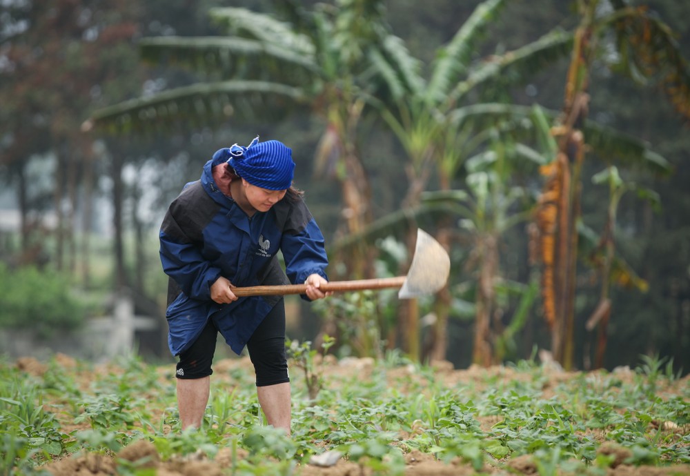 Tạo bước đột phá, giảm nghèo bền vững ở vùng cao Hà Giang
