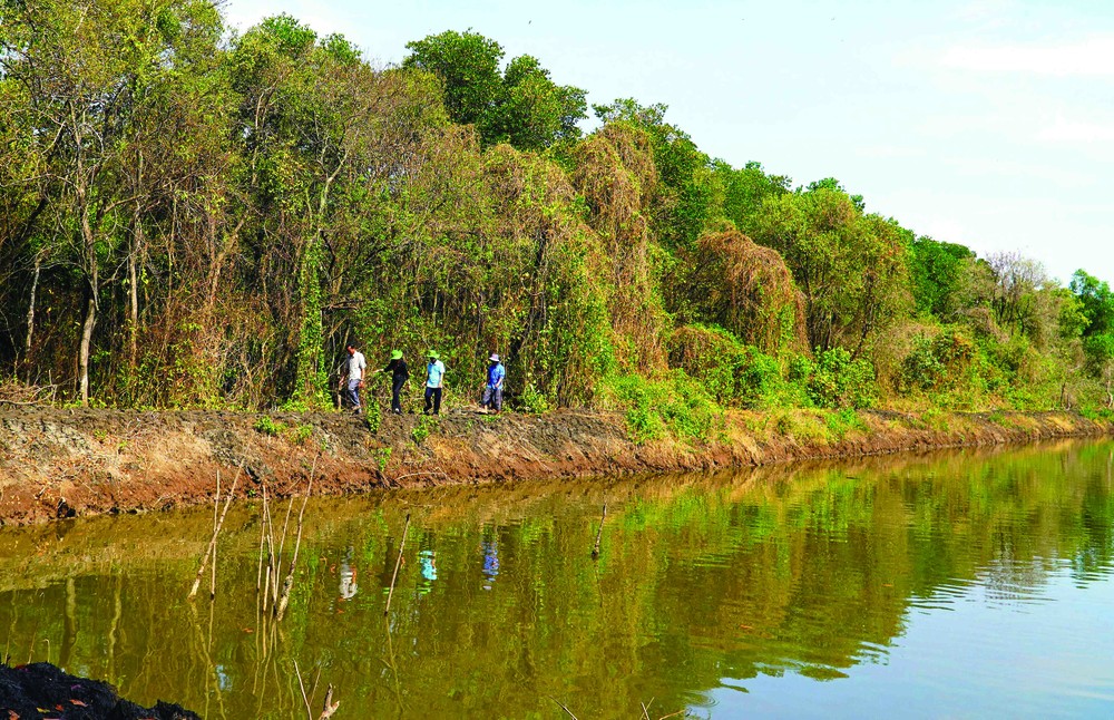 ប្រជាជនរួមជាមួយនឹងកម្មាភិបាលការិយាល័យកសិកម្មនិងអភិវឌ្ឍន៍ជនបទស្រុក ហនដឹត គណៈកម្មាធិការប្រជាជនឃុំ លិញហ្វ៊ិញ ចុះពិនិត្យព្រៃការពារ