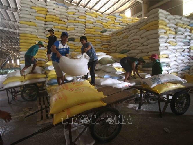 越南工贸部将严管各国际口岸大米出口活动