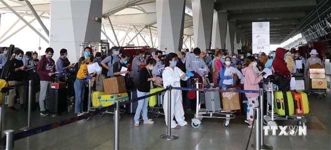 越南将340名在印度的公民安全运送回国