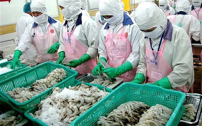 日本仍是越南虾类最大出口市场