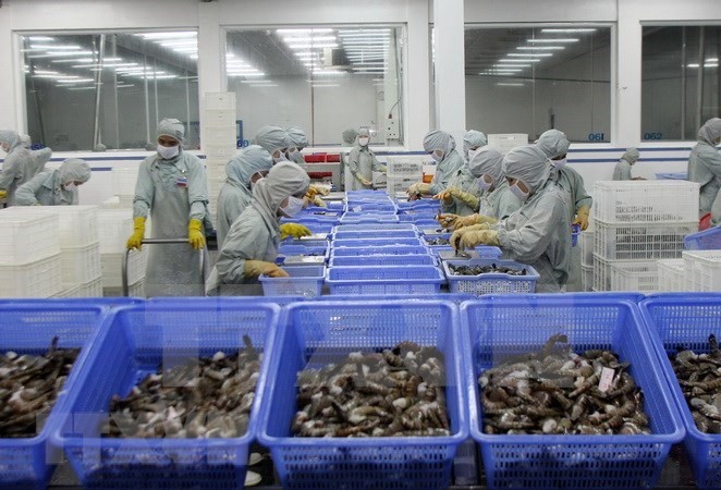 越南虾产业努力恢复虾类出口市场