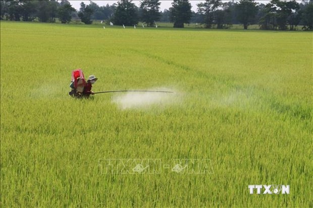 越南农业力争进入世界农业发达国家前15行列