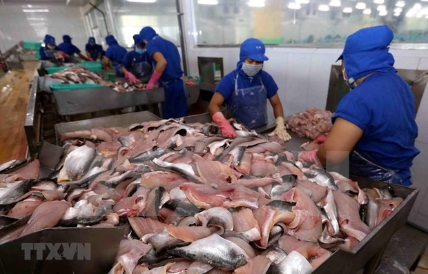越南查鱼出口额下降39%
