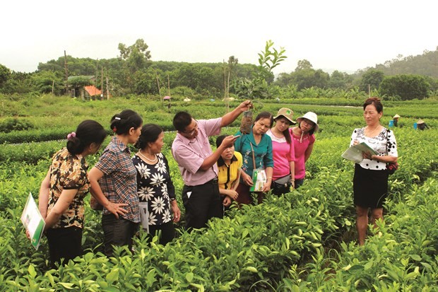 河内重视提升农村劳动者职业培训工作效果