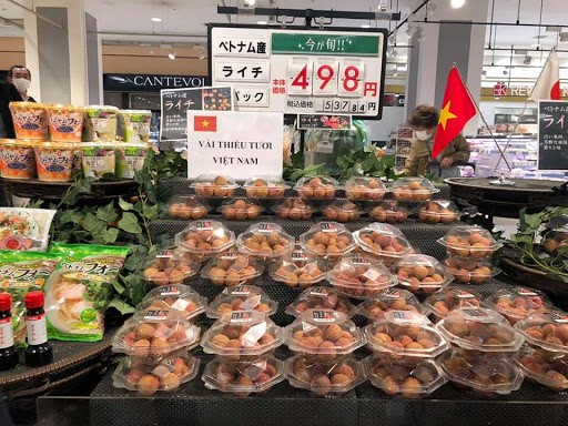 日本永旺总裁高度评价越南荔枝的质量