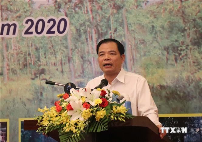 阮春强部长：须确定各单位在森林保护与发展工作中的责任