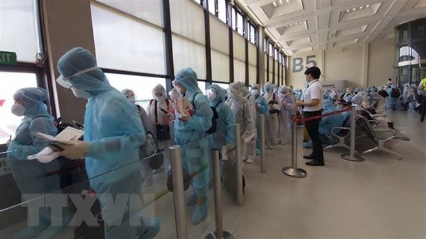 新冠肺炎疫情：将滞留在中国台湾的逾240名越南公民接回国