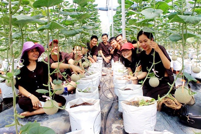 胡志明市开发7个农业和生态旅游计划