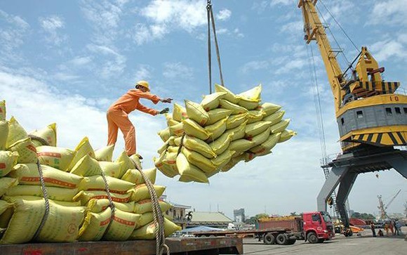 越南农产品价格一周回顾：稻谷和大米价格小幅上涨