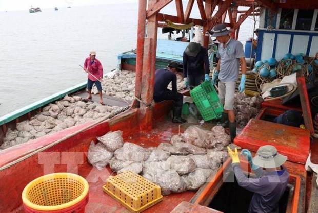 解除黄牌警告：越南渔船船位监测设备安装率超过77%