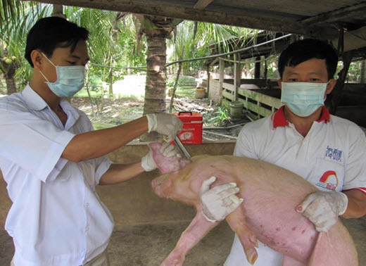 越南具备检测和发现猪流感病毒的能力