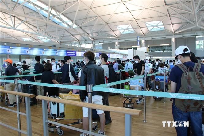 新冠肺炎疫情：将在韩国的310名越南公民接回国
