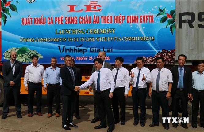 越南嘉莱省首批咖啡和西番莲出口到欧盟