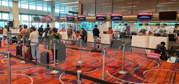新冠肺炎疫情：将在新加坡的230多名越南公民接回国