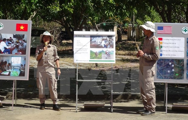 越南和平之树组织对越南各项活动起到积极的作用