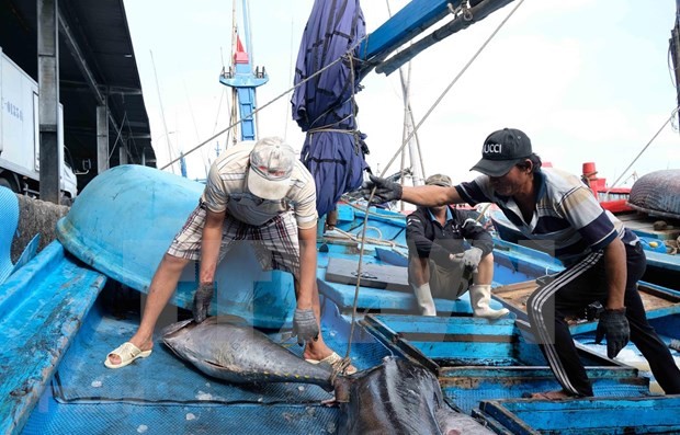 《东盟今日》高度评价越南在打击非法捕捞行为中所作出的努力