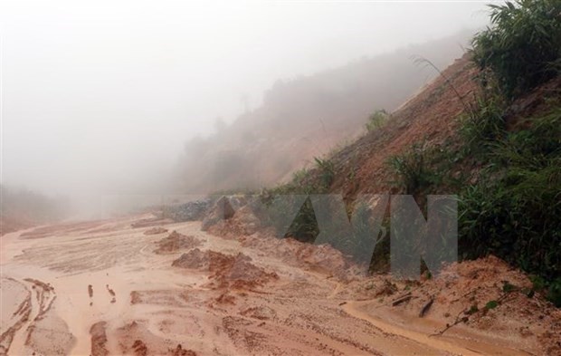 越南中部地区全面投入灾后重建工作