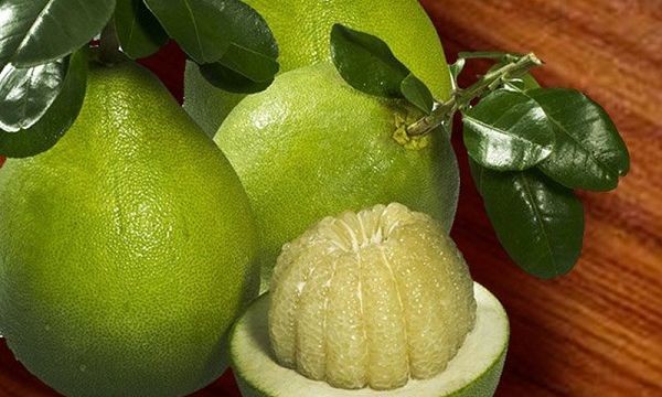 智利同意为越南柚子开放市场