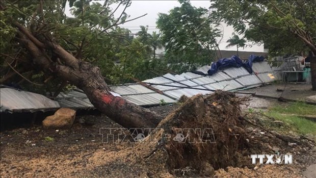 第12号台风致2人死亡 多地遭受财产损失