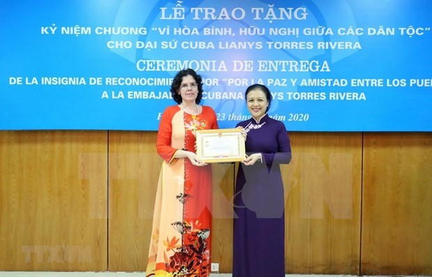 越南向古巴驻越南特命全权大使授予纪念章