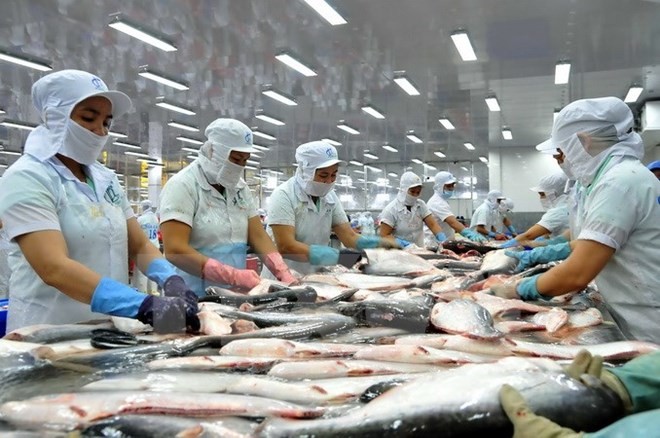 越南对中国的查鱼出口额达近3.86亿美元