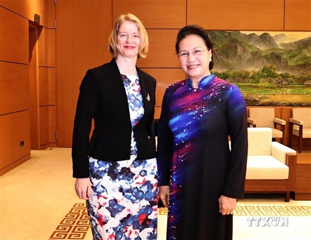 越南国会主席阮氏金银会见新西兰、智利和印尼驻越大使