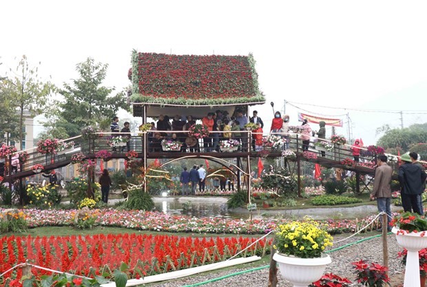越南北部最大花卉种植区的春季花卉节芬芳开幕