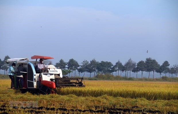 越南召开有关粮食食品系统的第一次国家对话会