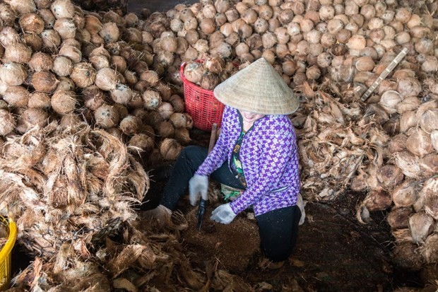 比利时一集团有意将椰维炭生产技术转让给越南