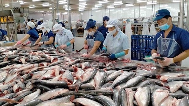 越南查鱼片在中国台湾市场占据99%以上份额