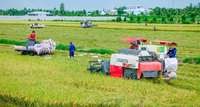 澳大利亚为越南农业发展提供支持