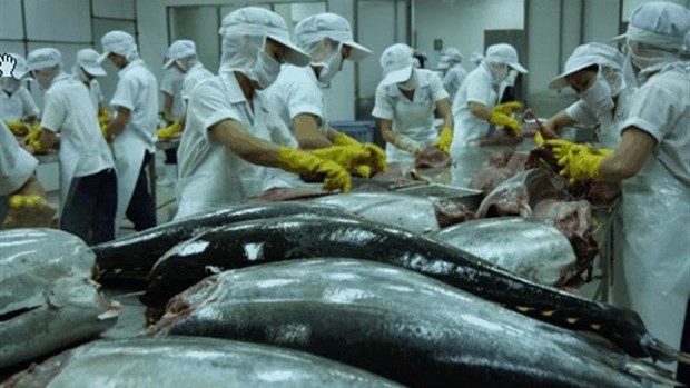 2021年上半年越南对意大利的金枪鱼出口额同比增长130%