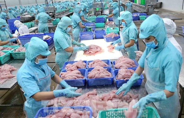 IUU“黄牌”警告对越南渔业造成影响报告亮相