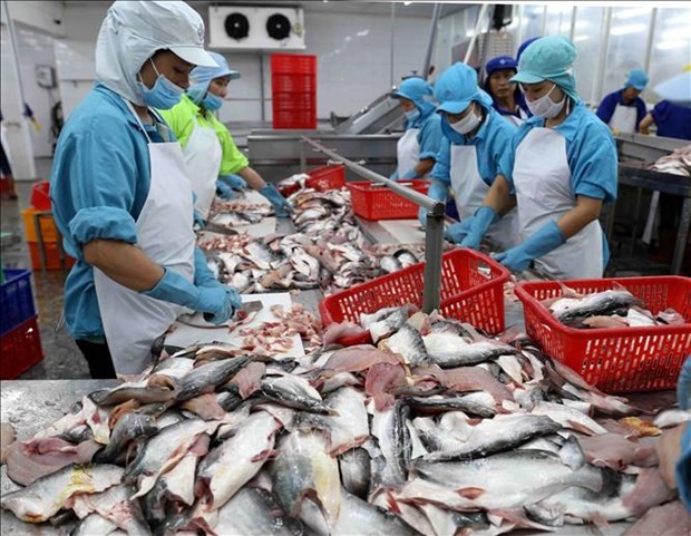 2021年前7个月越南查鱼出口总额达9.3亿美元