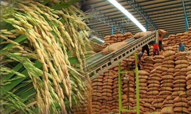 泰国大米价格创两年来新低