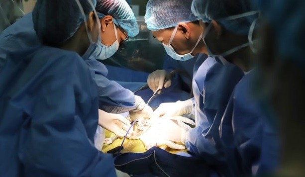 越南首次成功为肝癌晚期儿童进行肝移植手术