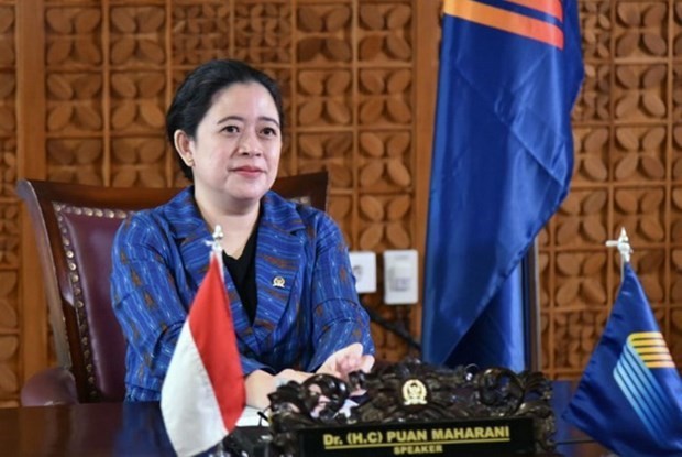AIPA-42：印尼众议院议长呼吁东盟加强合作控制疫情