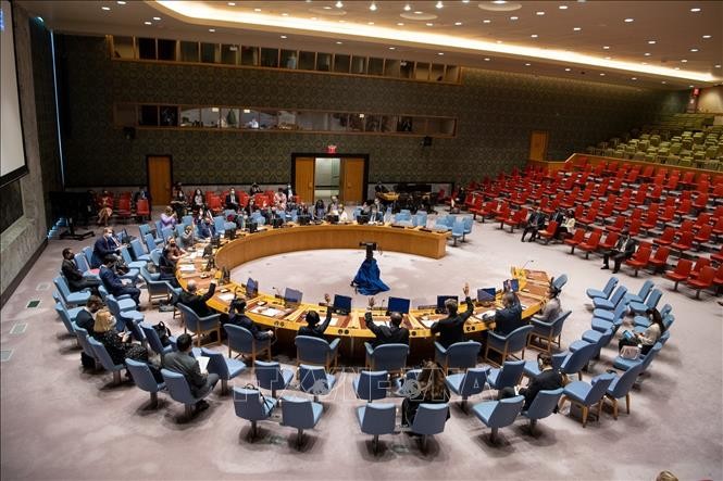 越南与联合国安理会：越南始终尊重和全面实施《禁止化学武器公约》
