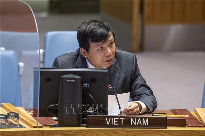 越南与联合国安理会：越南支持巴勒斯坦与以色列和平共处