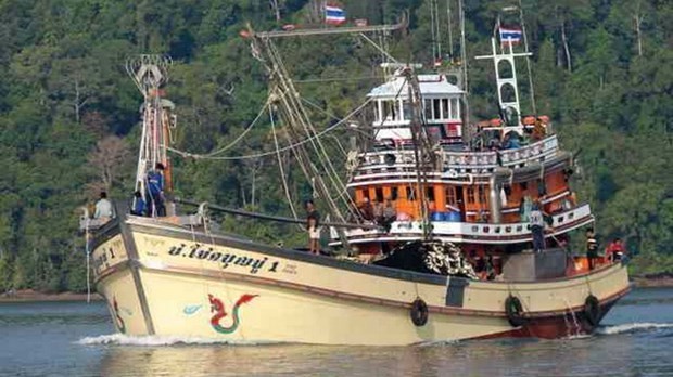 泰国成立特种力量打击非法捕捞活动