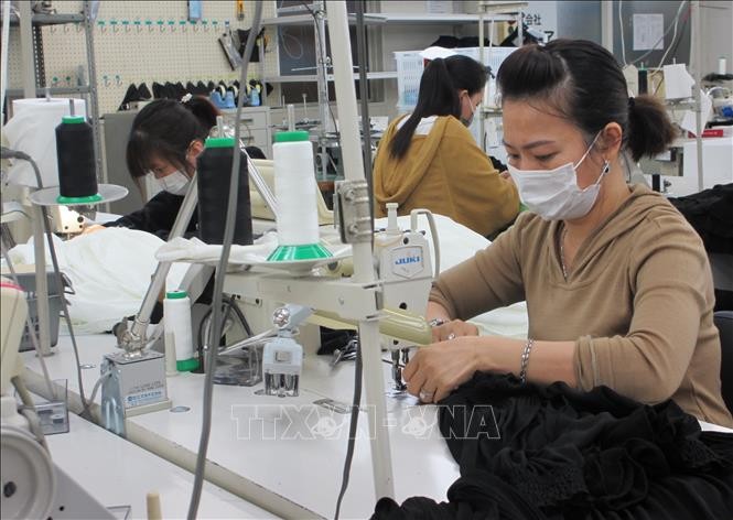 日本企业在新冠肺炎疫情下帮助越南人就业
