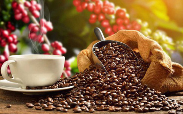 日本增加越南咖啡进口量