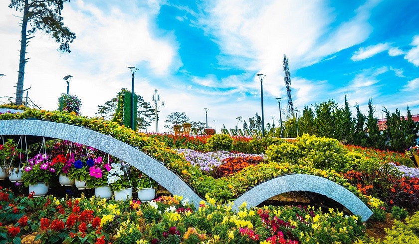 第九次大叻花卉节将于今年底举行