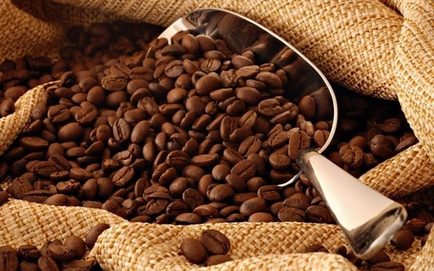 越南对美国、德国和法国咖啡出口潜力仍有待挖掘