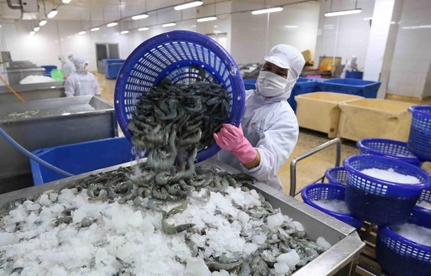 越南虾类对英国出口实现重大突破