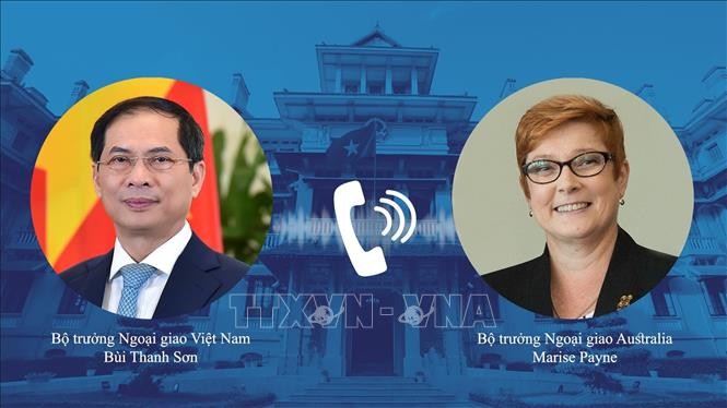 越南外交部长同澳大利亚外长通电话